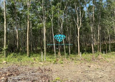 Land for sale in Ao Po, Thalang, Phuket.