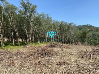 Land for sale in Ao Po, Thalang, Phuket.