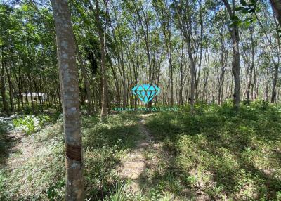Land for sale in Ao Po, Thalang, Phuket.