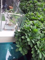 2 bed Condo in Issara@42 Sukhumvit Phra Khanong Sub District C013852