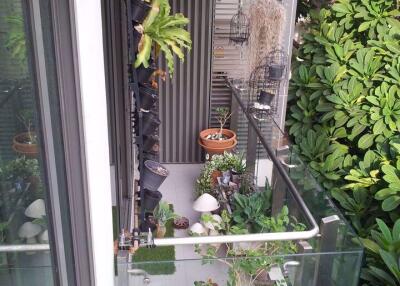 2 bed Condo in Issara@42 Sukhumvit Phra Khanong Sub District C013852