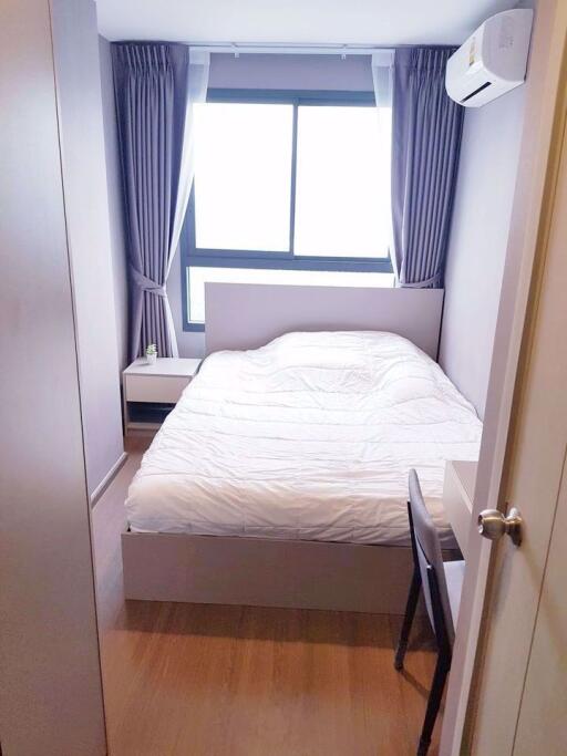 2 bed Condo in Ideo Sukhumvit 93 Bangchak Sub District C013507