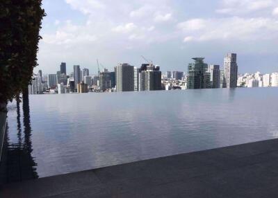 1 bed Condo in The Crest Sukhumvit 34 Khlongtan Sub District C013157