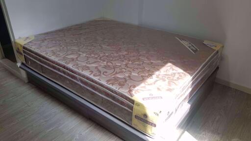 2 bed Condo in Villa Lasalle Bang Na Sub District C012851