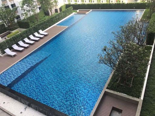 1 bed Condo in Aspire Erawan Pak Nam Sub District C012297