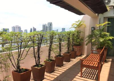 4 bed Penthouse in Grand 39 Tower Khlong Tan Nuea Sub District P11069