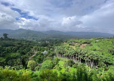 Swiss Style house for rent - 3 bedrooms, 4 bathrooms, surrounded by nature and stunning views