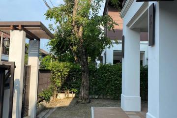 3 Bedroom House for Rent/sale In Chiang Mai