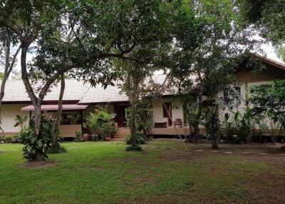 House for sale in Doi Saket, Chiang Mai, Baan Suan, rice field, mountain view, quiet