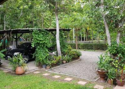 House for sale in Doi Saket, Chiang Mai, Baan Suan, rice field, mountain view, quiet