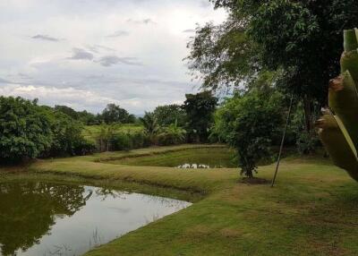 House for sale in Doi Saket, Chiang Mai, Baan Suan, rice field, mountain view, quiet