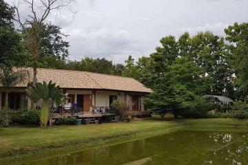 House for sale in Doi Saket, Chiang Mai, Baan Suan, rice field, mountain view, quiet