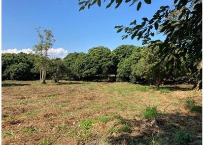 7 Rai Beautiful Land For Sale In Nam Phrae