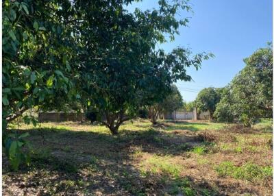 7 Rai Beautiful Land For Sale In Nam Phrae