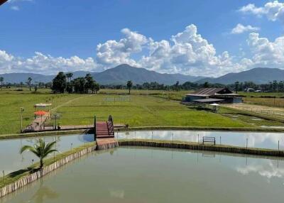 Business with a beautiful land for sale in Sankampaeng Chiangmai