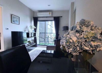 1 bed Condo in The Crest Sukhumvit 34 Khlongtan Sub District C11777