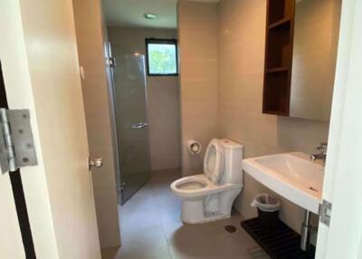 2 bed Condo in Sense Sukhumvit Bang Na Sub District C11159