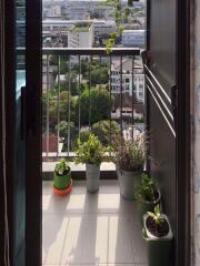 1 bed Condo in Life Sukhumvit 62 Bangchak Sub District C11047