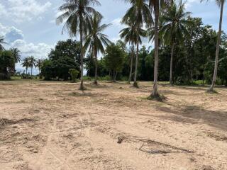 Land for Sale in Huay Yai