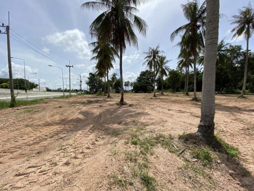 Land for Sale in Huay Yai