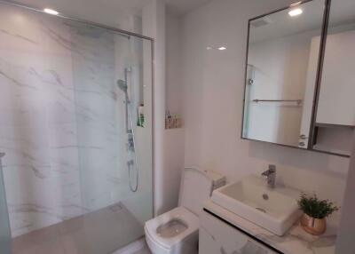 1 bed Condo in The Line Sukhumvit 101 Bangchak Sub District C10754