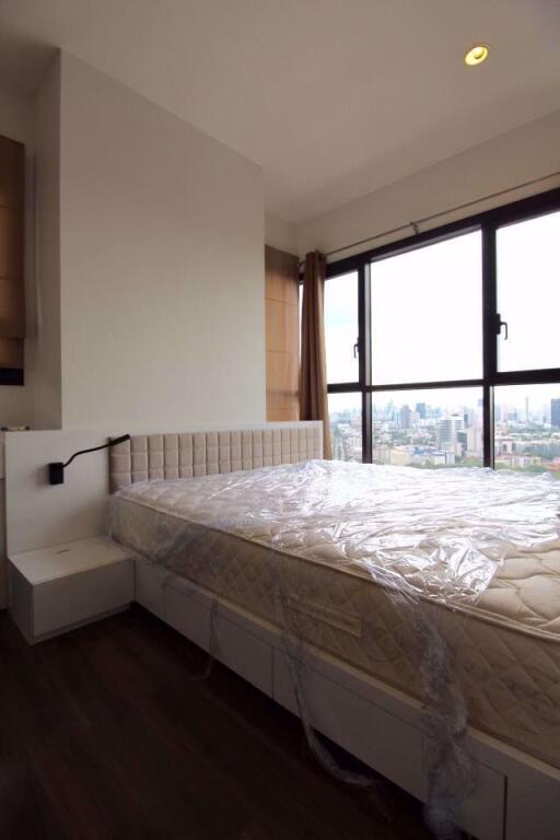 1 bed Condo in WYNE Sukhumvit Phra Khanong Sub District C10275