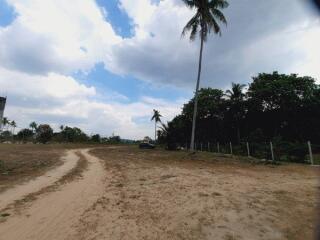 Great Land for Sale in Ban Amphur