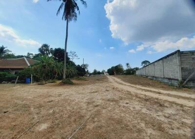 Great Land for Sale in Ban Amphur