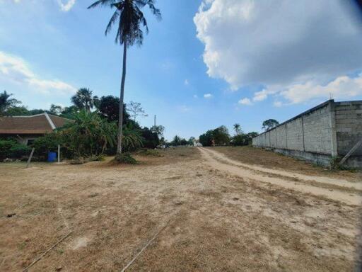 Great Land for Sale in Ban Amphur