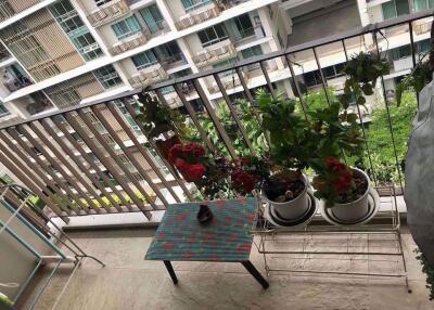 2 bed Condo in The Clover Khlong Tan Nuea Sub District C10143