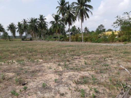 Land for Sale in Marbprachan