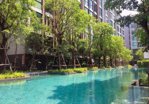 1 bed Condo in Vtara Sukhumvit 36 Phra Khanong Sub District C09794