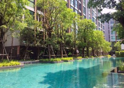 1 bed Condo in Vtara Sukhumvit 36 Phra Khanong Sub District C09794