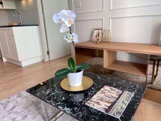 1 bed Condo in Noble Recole Khlong Toei Nuea Sub District C09670