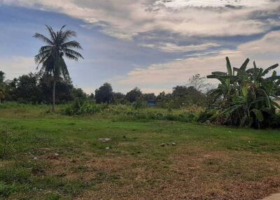 1,600 Sq.m Land At Huay Yai for Sale