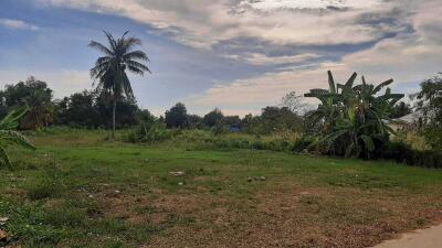 1,600 Sq.m Land At Huay Yai for Sale