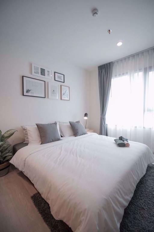 1 bed Condo in Life Asoke Huai Khwang District C08513