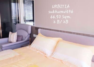 2 bed Condo in Urbitia Thong Lo Phra Khanong Sub District C07494