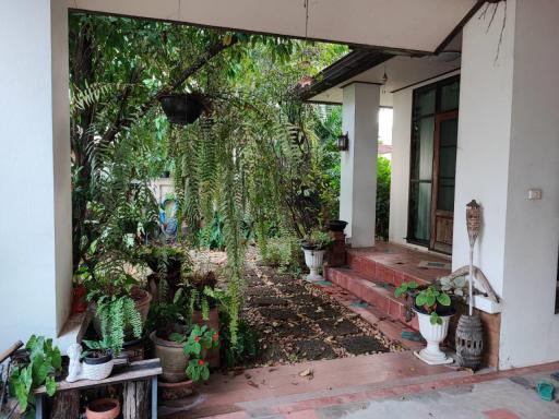 For Sale Single House, Nonthaburi, Wiphawan Village, good location near to Sanambinnam, Central Ratanatibet