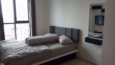 1 bed Condo in Life Sukhumvit 48 Phra Khanong Sub District C05952