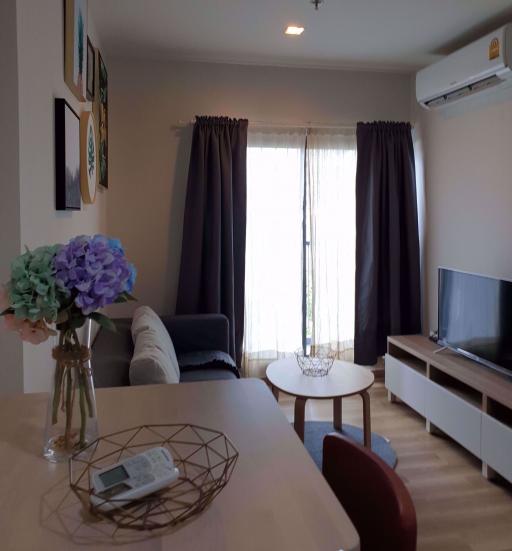 2 bed Condo in Life Sukhumvit 48 Khlongtoei District C05564