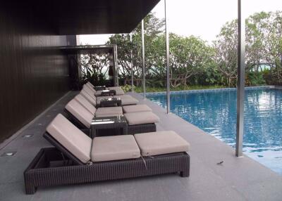 1 bed Condo in The Address Asoke Makkasan Sub District C0005504