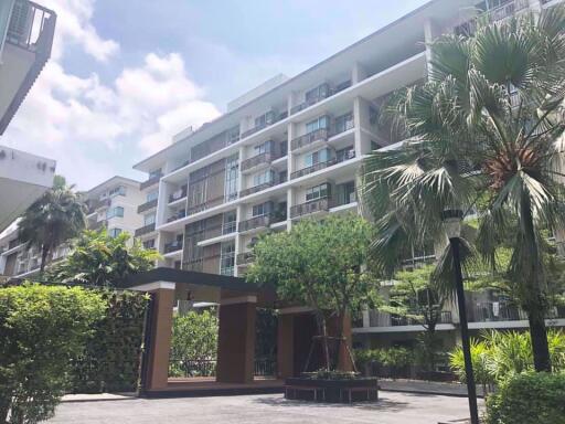 3 bed Condo in The Clover Khlong Tan Nuea Sub District C005112