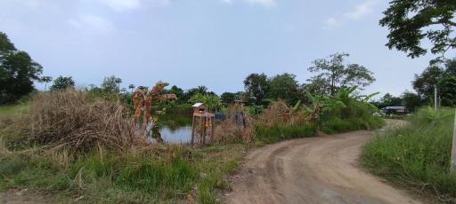 Land for Sale with tenant in Nong Pla Rai