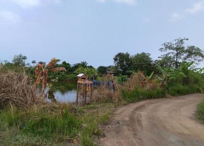 Land for Sale with tenant in Nong Pla Rai