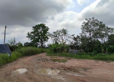 Land for Sale with tenant in Nong Pla Rai