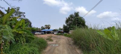 Land for Sale with tenant in Nong Pla Rai