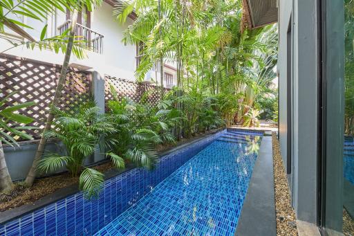 Paradise Houses in Hidden Tropical Oasis