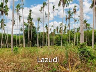 Ring-roadside land for sale Taling Ngam