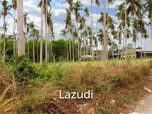 Ring-roadside land for sale Taling Ngam